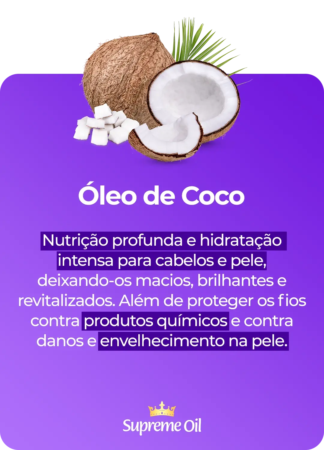 Coco2.webp