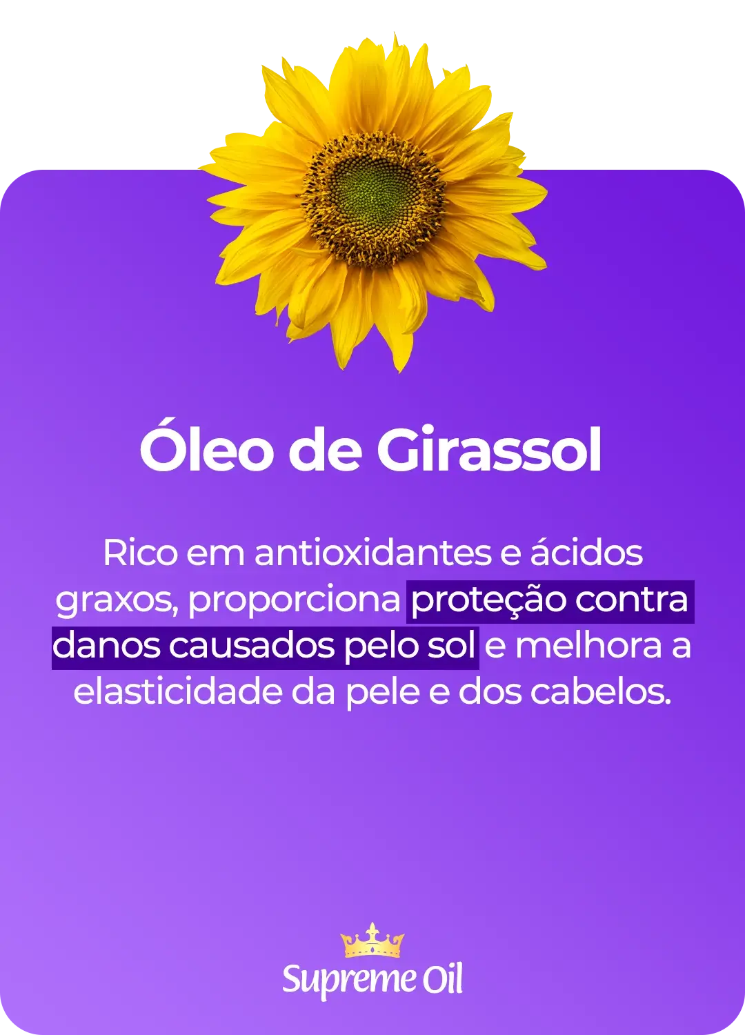 Girassol3.webp